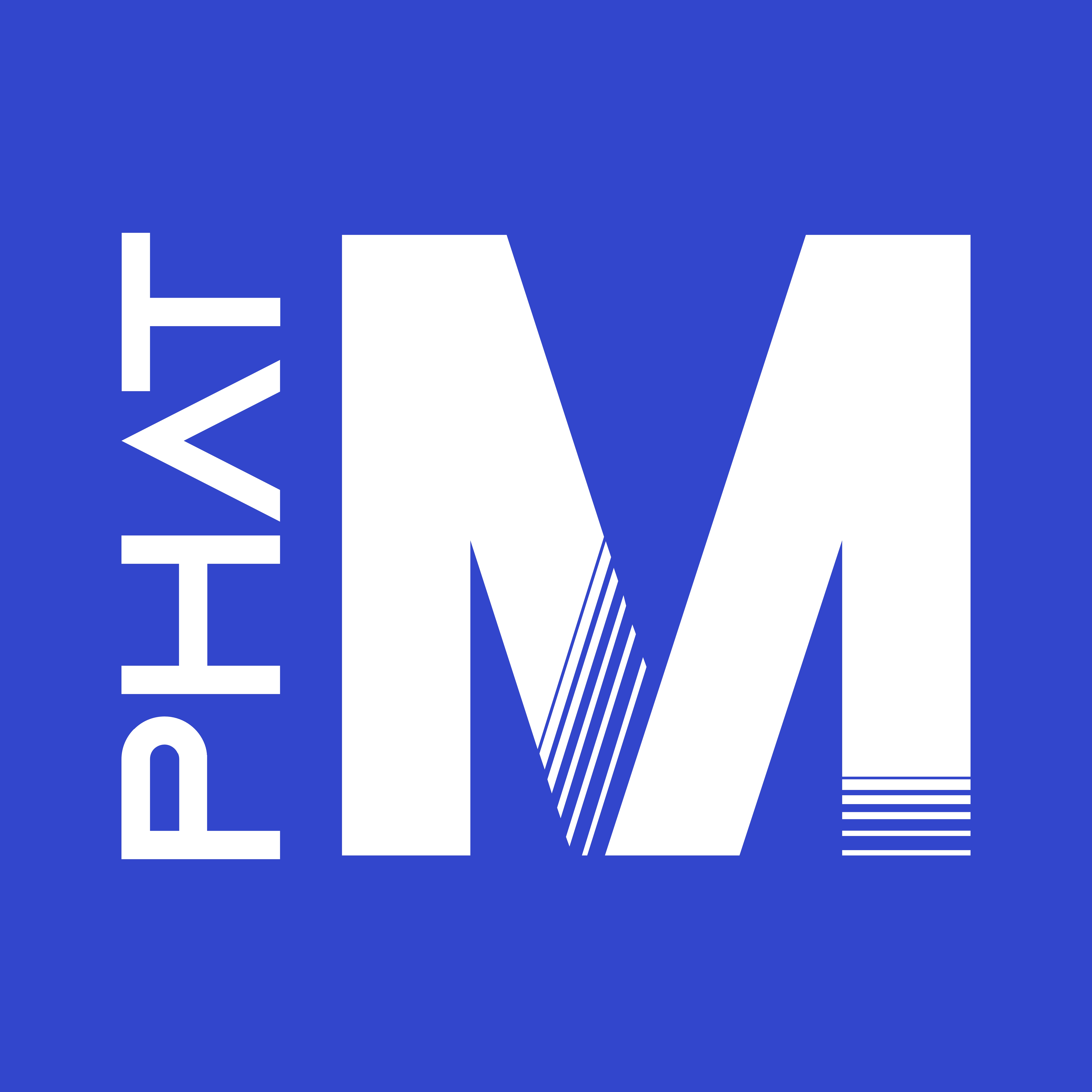 Phat Monkey small logo